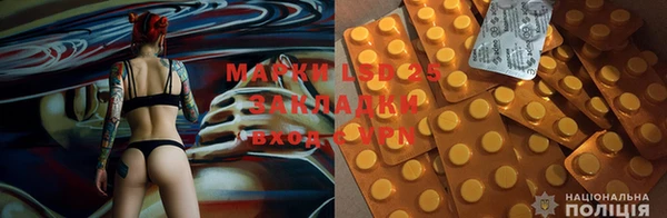 первитин Богданович