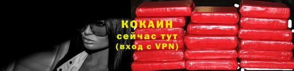 первитин Богданович