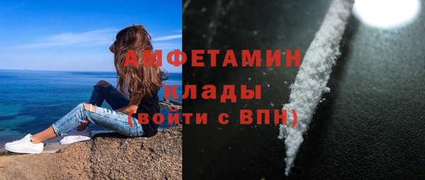 первитин Богданович