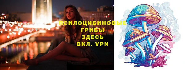 apvp Богородицк