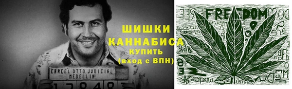 apvp Богородицк