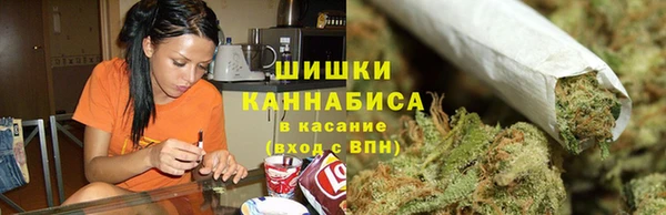 первитин Богданович