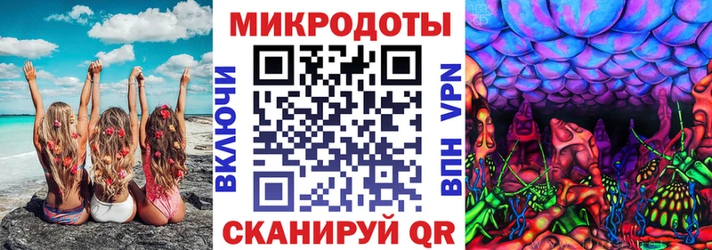 Галлюциногенные грибы Psilocybe купить сайты нарко площадка какой сайт Севск